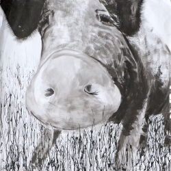 2008-vBernuth-D_2015-5-21